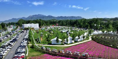 Huaxi Gushuqiao Park