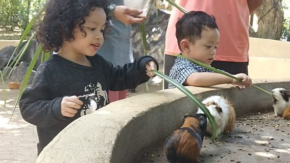 P.D. Ostrich Show Farm