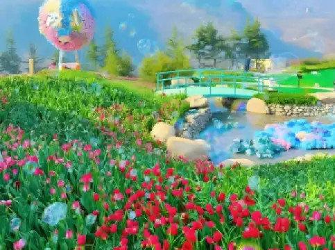 紅葉柿岩観光区