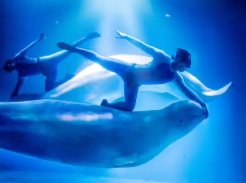 สวนสมเด็จพระเจ้าอยู่หัว