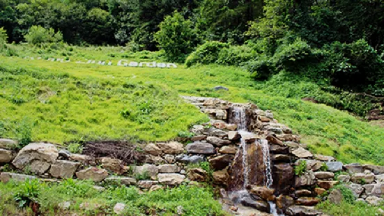 Romyzian Garden