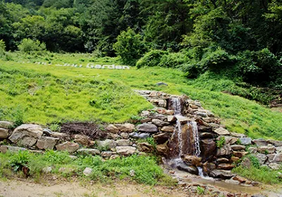 Jeongseon-gun