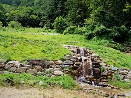 Jeongseon