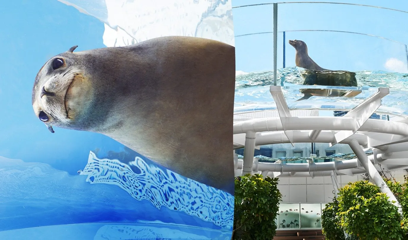 5_Sunshine Aquarium