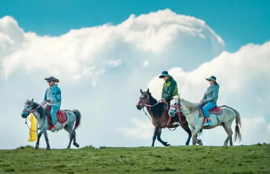 天緣牧歌牧家樂草原騎馬大小同價