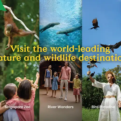 Mandai Wildlife Reserve