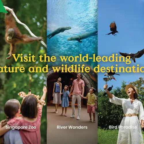 Mandai Wildlife Reserve