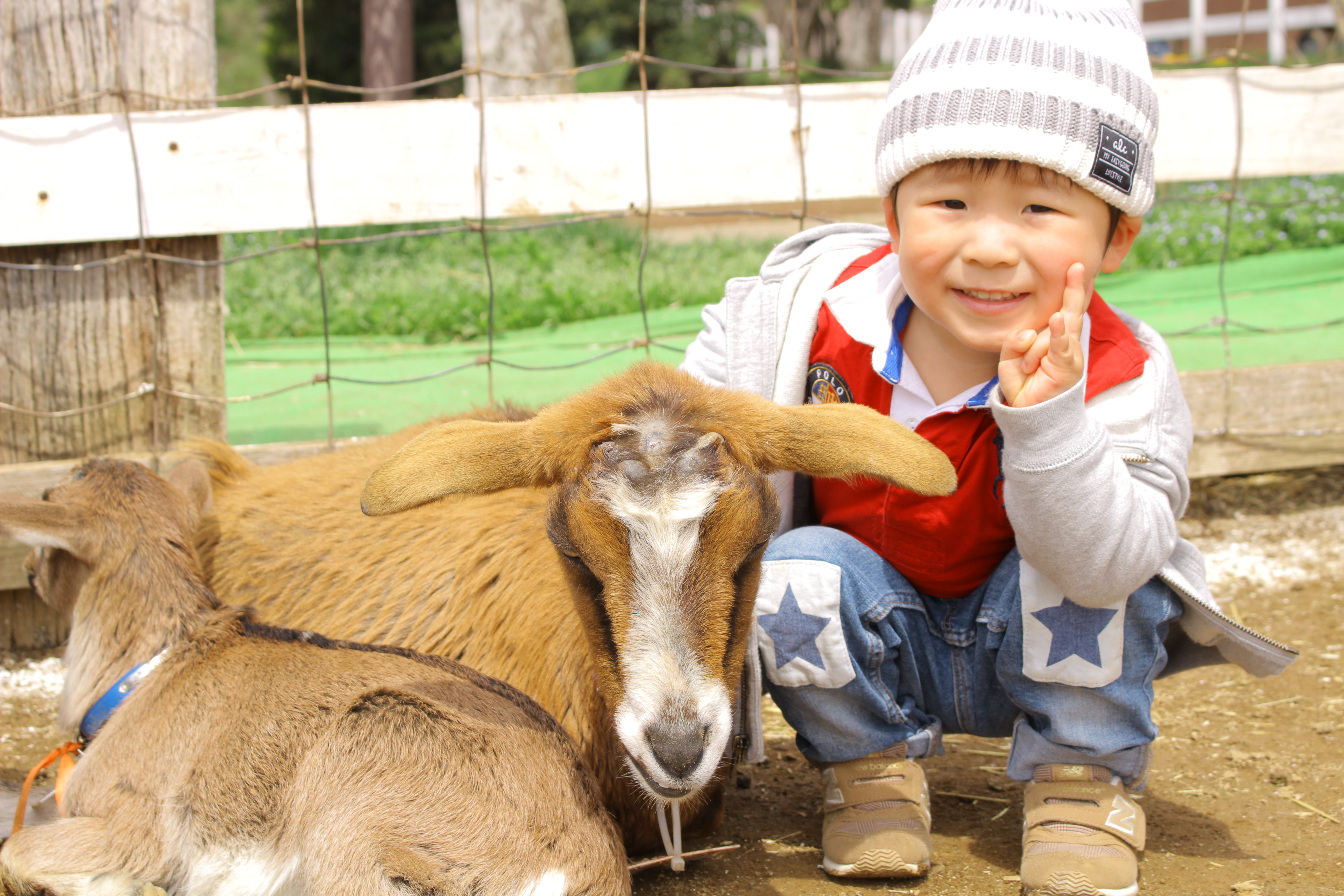 千葉 成田ゆめ牧場 入場Eチケット 予約（即日発券）