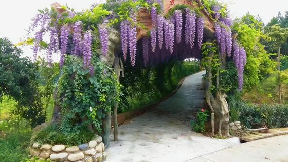 Green Mountain Micro Lake Park, Daying County, Sichuan