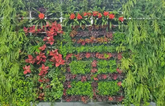 杏福園門票大小同價