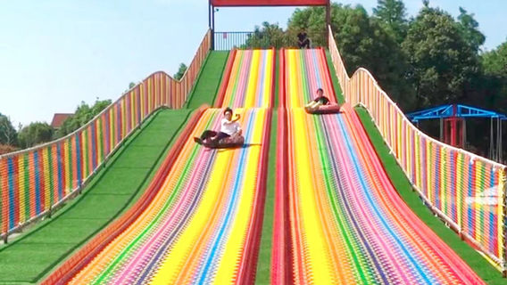 Forest in the Clouds