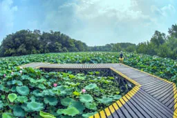 5_淹城遺址公園