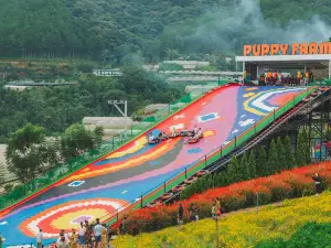 Nông Trại Cún Puppy Farm