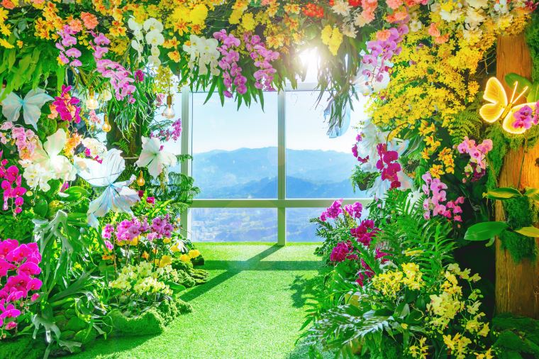 台湾ビザの種類