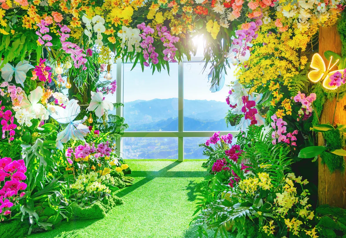 3_台北101觀景台