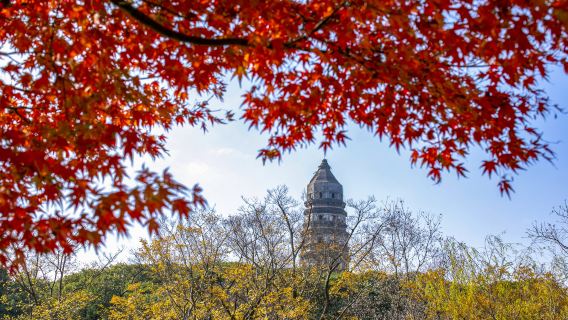 Suzhou 1-day tour private Chinese/English guide buided commentary service, experienced guide, and admission ticket booking assistance.