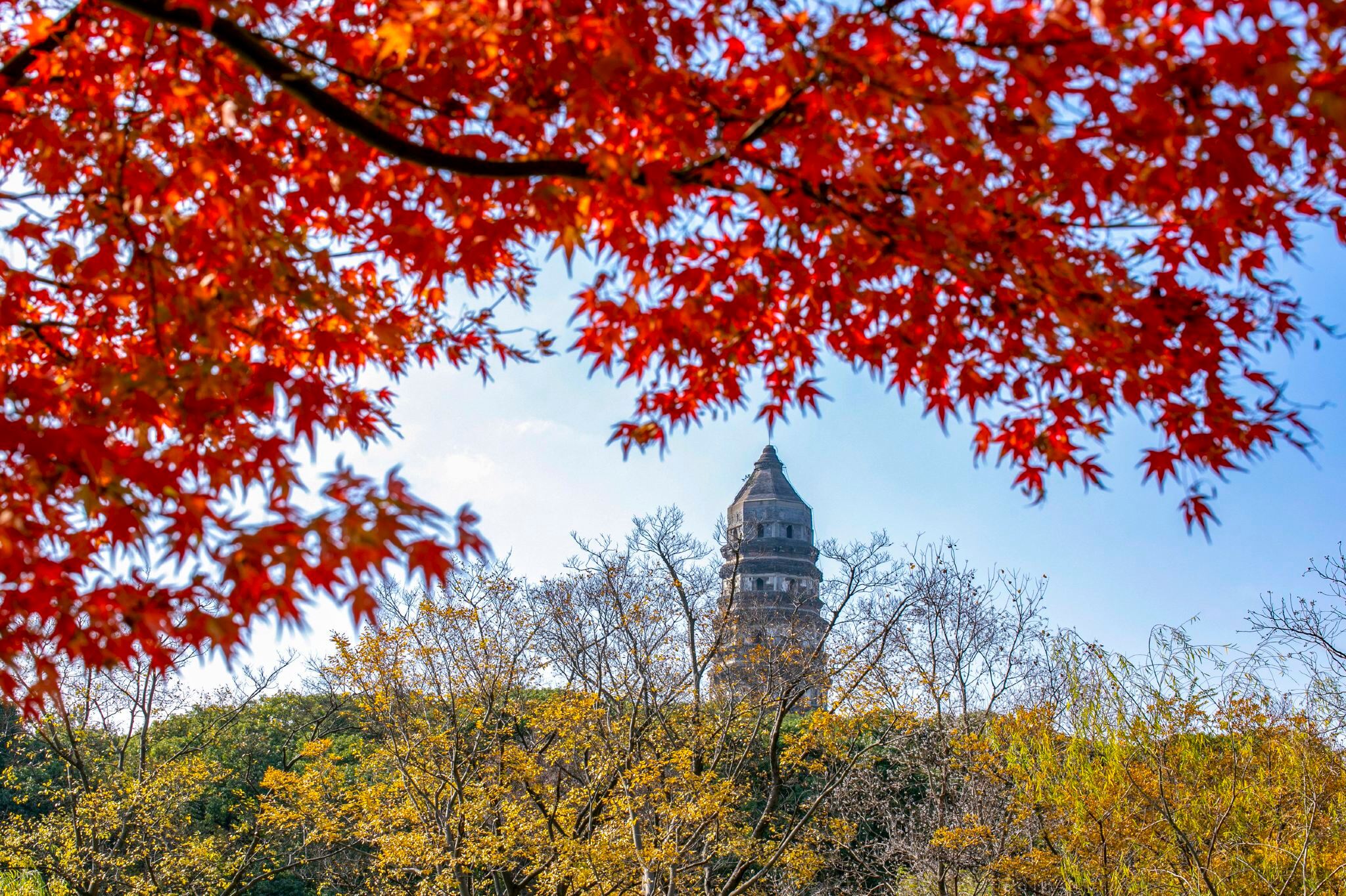 Suzhou 1-Day Tour: Private Guided Tour in Chinese/English + Experienced Guide + Admission Ticket Booking Service