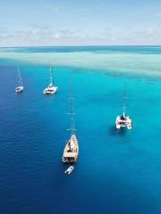 西沙群島自由鹿遊艇帆船俱樂部