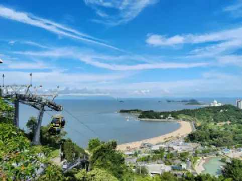 สวนจิงชาน