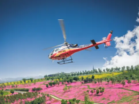 เมืองป่าทะเลสาบไท่ผิง