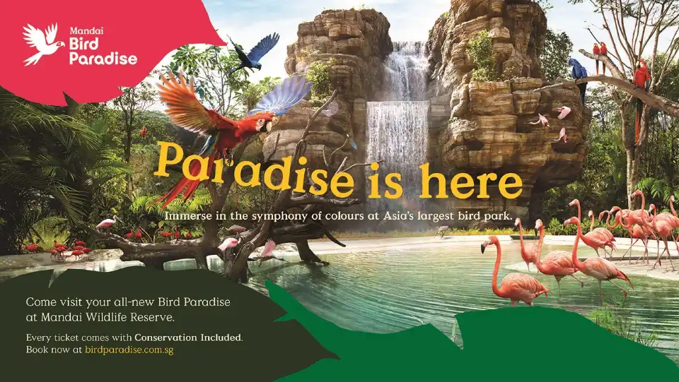 3_Bird Paradise