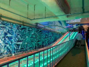 Sumokwon theme park