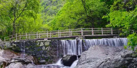 南山不老谷景區