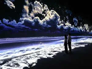 아르떼뮤지엄 제주
