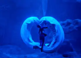 Zhoushan Changqiao Ocean Park