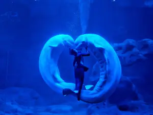 Zhoushan Changqiao Ocean Park
