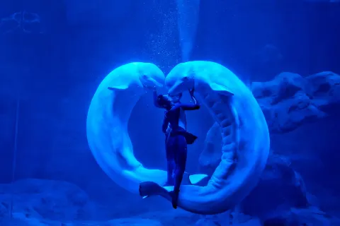 Zhoushan Changqiao Ocean Park