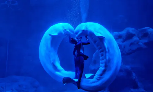 Zhoushan Changqiao Ocean Park