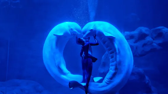 Zhoushan Changqiao Ocean Park