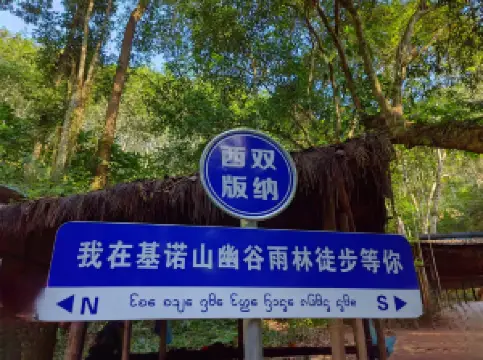 Jino Mountain Baduo Valley Rainforest Hiking