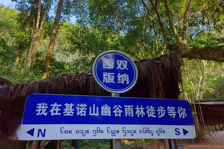 基諾山巴朵幽谷雨林徒步