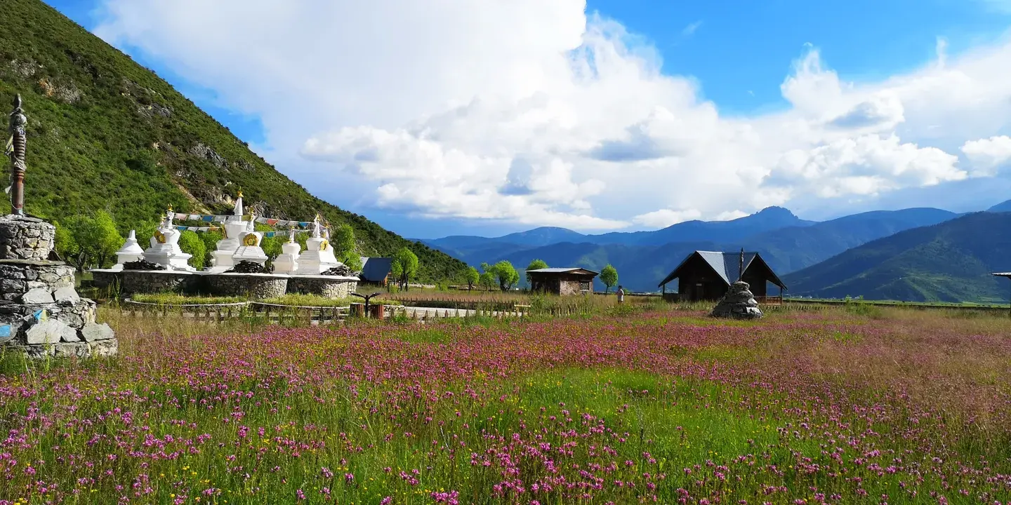 5_Napa Hai (Yila Grassland)