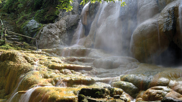 Baturraden Botanical Garden