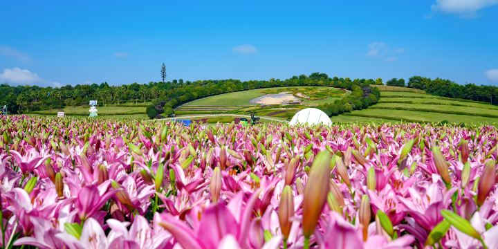 Taiping Lake International Ecotourism Resort