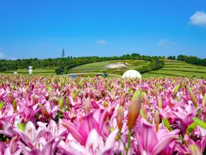 Taiping Lake International Ecotourism Resort