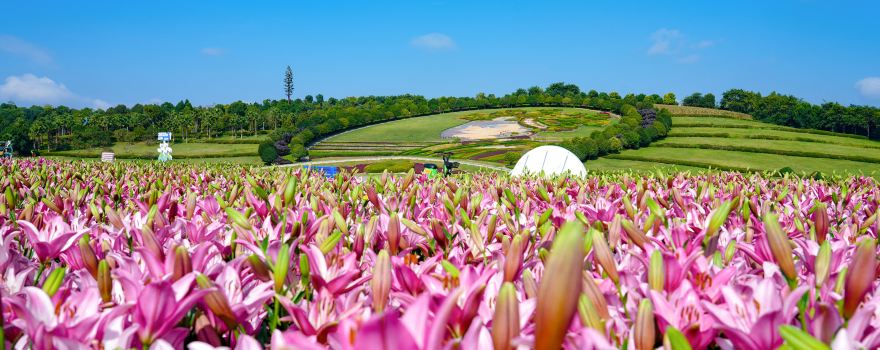 Taiping Lake International Ecotourism Resort