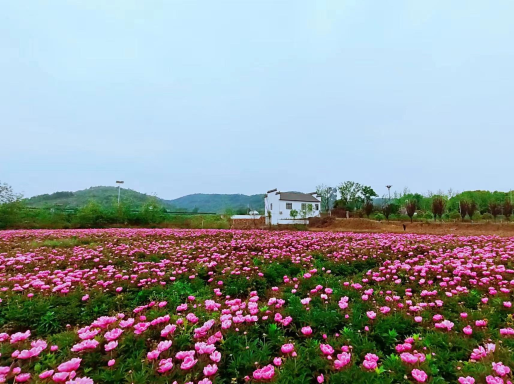 【最新】Tangchi Nature Ecological Park - チケット、営業時間、口コミ、写真 [2026] Trip.com