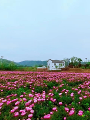 湯池大自然生態園