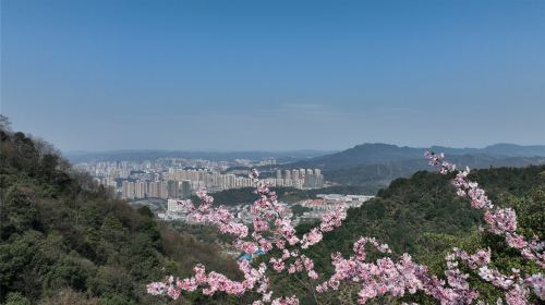 Wangxianling Scenic Tourist Area