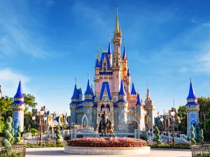 매직 킹덤 파크