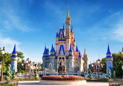 Walt Disney World Resort