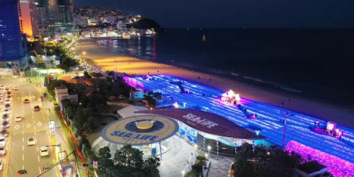 釜山SEA LIFE水族館