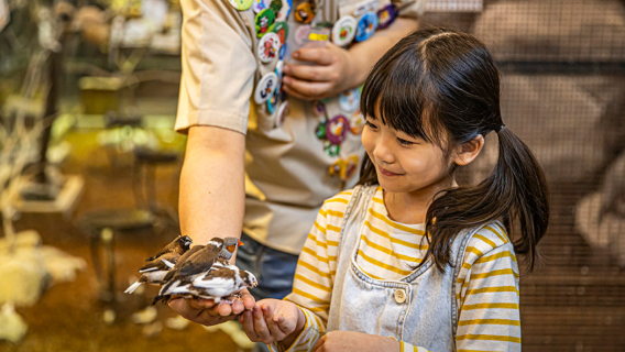 Zoolung Zoolung Animal Theme Park (GYEONGJU)