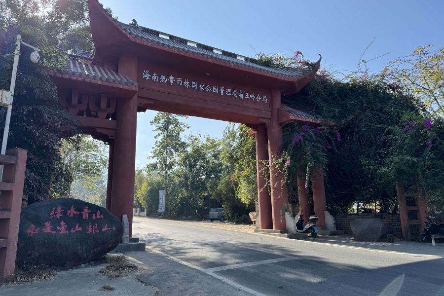 霸王嶺