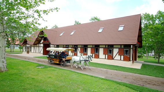Northern Horse Park