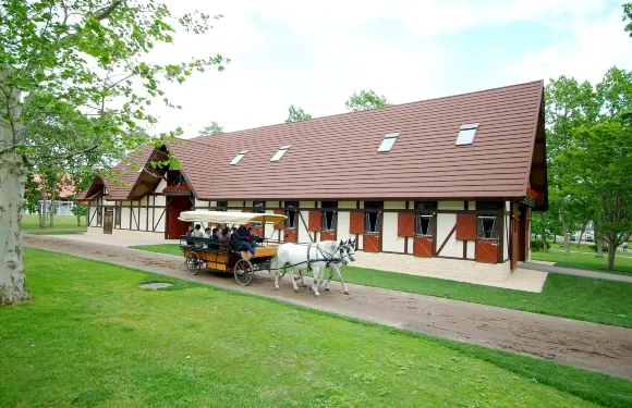 北國馬場主題公園門票成人